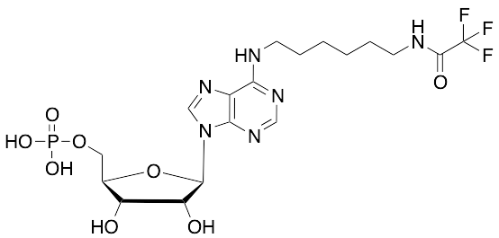 (-)-Inosine Dehydroxy-N-(6-iminohexyl)-2,2,2-trifluoroacetamide Phosphate - image 1