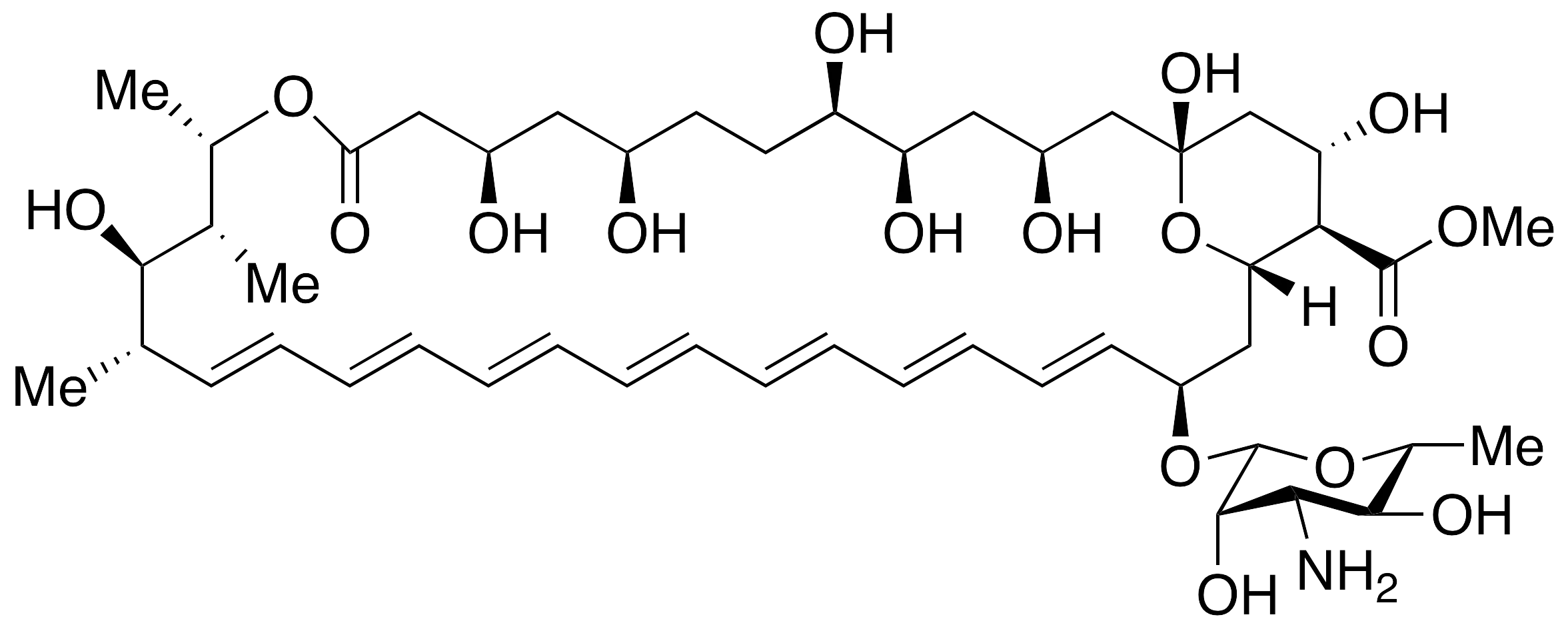 Amphotericin B Methyl Ester (>80%) - image 1