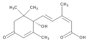 (+)-cis,trans-Abscisic Acid, 98% - image 1
