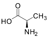 D-Alanine - image 1