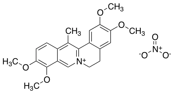 Dehydrocorydaline nitrate - image 1