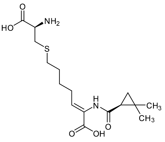 Cilastatin - image 1
