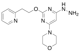 6-(4-Morpholinyl)-2-[2-(2-pyridinyl)ethoxy]-4(1H)-pyrimidinone Hydrazone - image 1