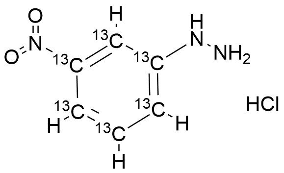 (3-Nitrophenyl)hydrazine (13C6) Hydrochloride - image 1