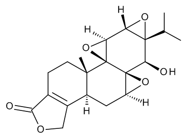Triptolide - image 1