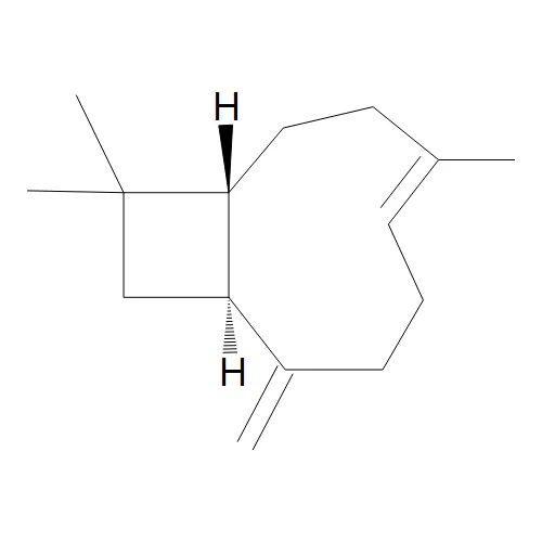 (beta)-Caryophyllene - image 1