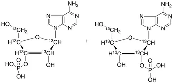 Adenosine Monophosphate (mixture of 2'(3')-phosphate isomers)-13C5 Sodium Salt - image 1