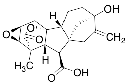 Gibberellin A6 - image 1
