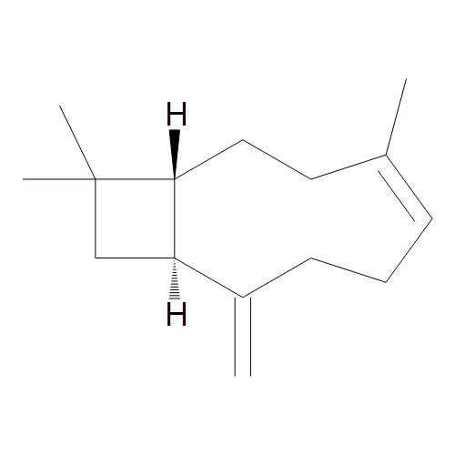 Isocaryophyllene (80%) - image 1