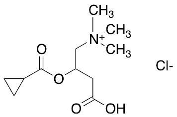 Cyclopropanecarboxyl Carnitine Chloride - image 1