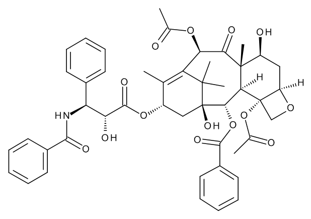 Paclitaxel - image 1