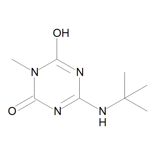 6-(tert-Butylamino)-3-methyl-1,3,5-triazine-2,4(1H,3H)-dione - image 1