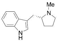 (R)- 3-[(1-Methyl-2-pyrrolidinyl)methyl]-1H-Indole - image 1