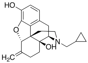 Nalmefene - image 1