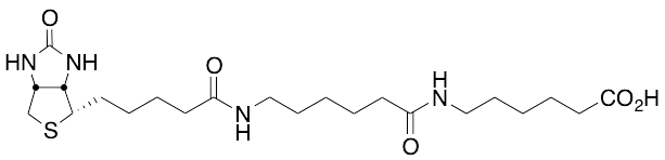 LC-LC(+)-Biotin - image 1
