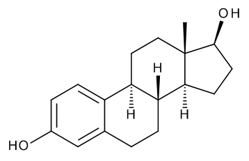 17beta-Estradiol - image 1