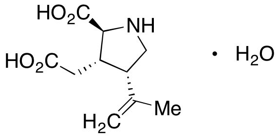 (-)-Alpha-Kainic Acid Monohydrate - image 1