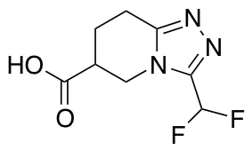3-(difluoromethyl)-5H,6H,7H,8H-[1,2,4]triazolo[4,3-a]pyridine-6-carboxylic acid - image 1