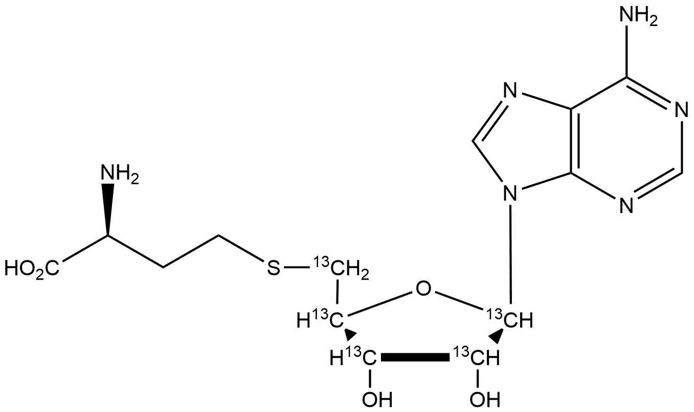 S-(((2S,3S,4R,5R)-5-(6-Amino-9H-purin-9-yl)-3,4-dihydroxytetrahydrofuran-2-yl-2,3,4,5-13C4)methyl-13C)-L-homocysteine - image 1