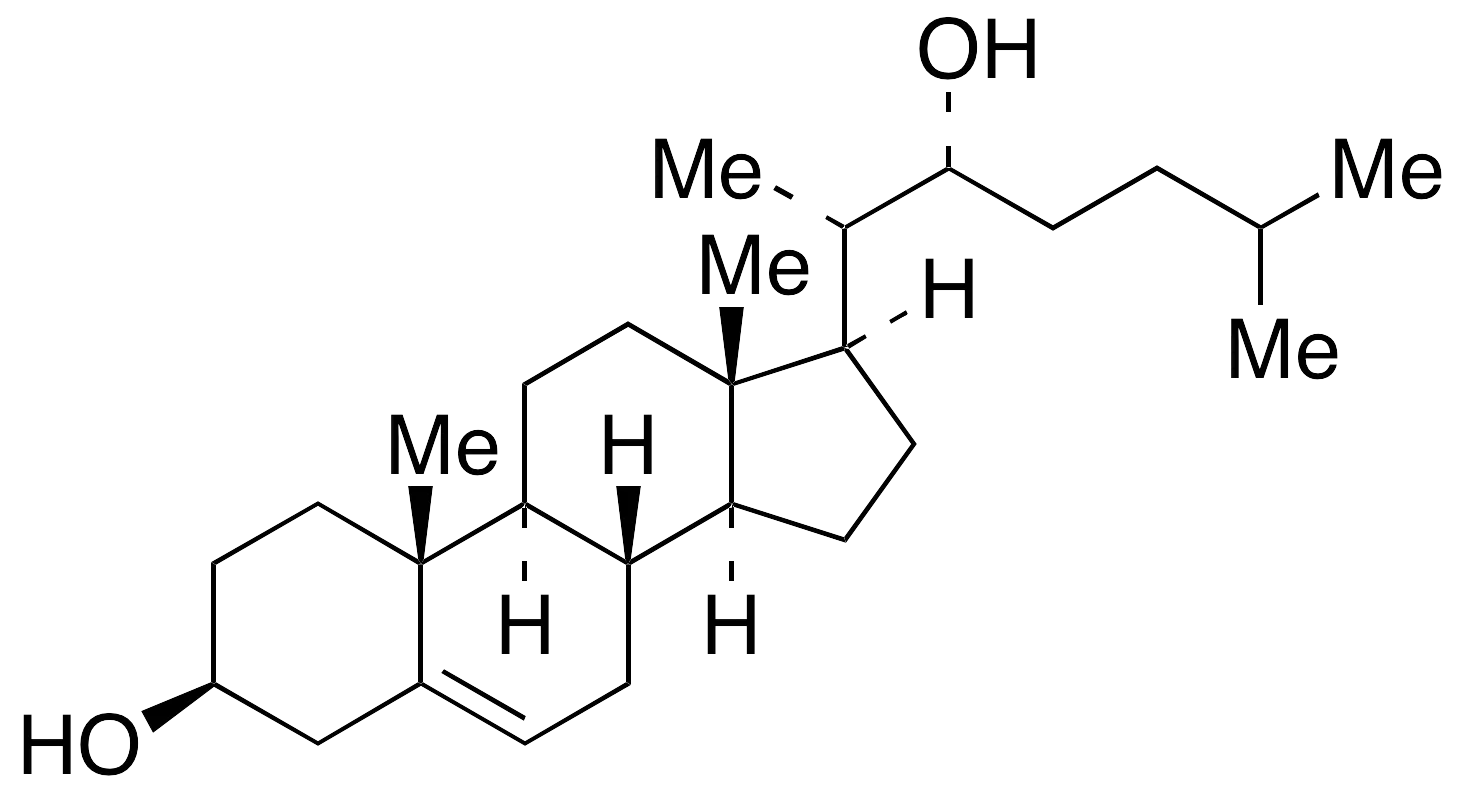 22a-Hydroxy Cholesterol - image 1