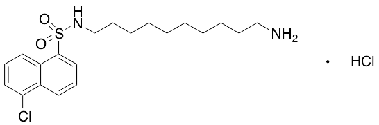 N-(10-Aminodecyl)-5-chloro-1-naphthalenesulfonamide Hydrochloride - image 1
