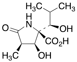(3R,4S,5R)-4-Hydroxy-5-[(1S)-1-hydroxy-2-methylpropyl]-3-methyl-2-pyrrolidinone-5-carboxylic Acid - image 1