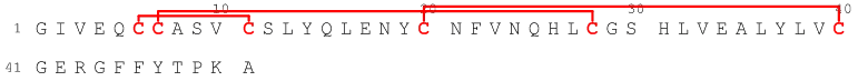 Insulin (Beef) - image 1