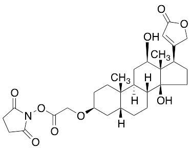 (3Beta,5Beta,12Beta)-3-[2-[(2,5-Dioxo-1-pyrrolidinyl)oxy]-2-oxoethoxy]-12,14-dihydroxy-card-20(22)-enolide (>90%) - image 1