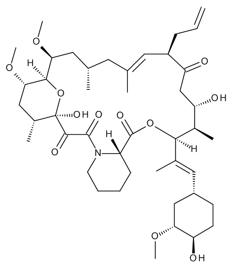 FK-506 (Tacrolimus) - image 1