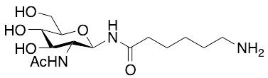 2-Acetamido-N-(e-aminocaproyl)-2-deoxy-Beta-D-glucopyranosylamine - image 1