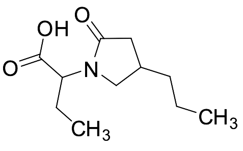 Alpha-Ethyl-2-oxo-4-propyl-1-pyrrolidineacetic Acid - image 1