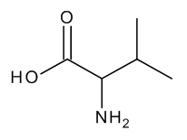 DL-valine - image 1
