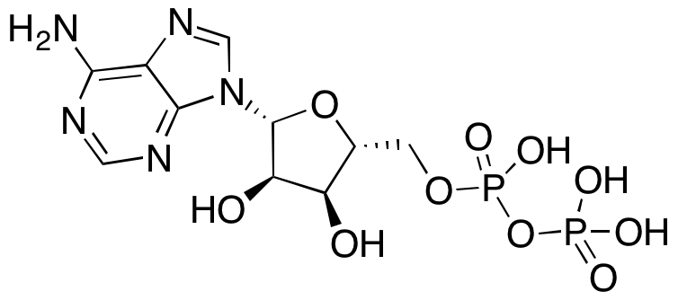 Adenosine 5'-Diphosphate - image 1