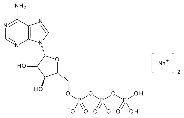 Adenosine 5’-Triphosphate Disodium Salt - image 1