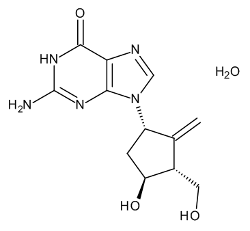 Entecavir Monohydrate - image 1