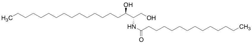 C14 Dihydroceramide - image 1
