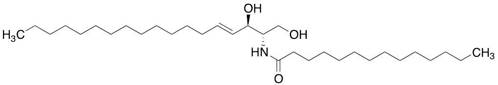 C14 Ceramide - image 1