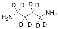 1,4-Butane-1,1,2,2,3,3,4,4-d8-diamine - image 1