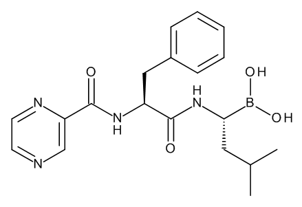 Bortezomib - image 1