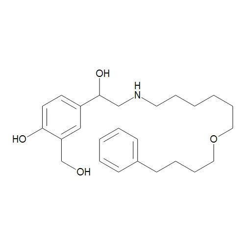 Salmeterol - image 1