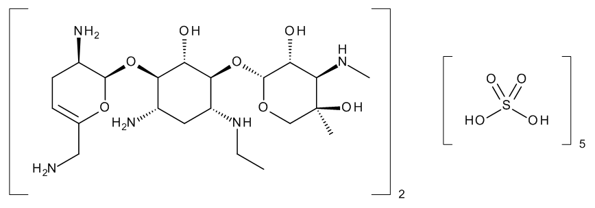 Netilmicin Sulfate - image 1