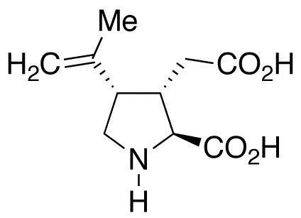 (-)-a-Kainic Acid - image 1