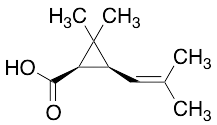 cis-Chrysanthemic Acid - image 1