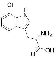 7-Chloro-L-Tryptophan - image 1