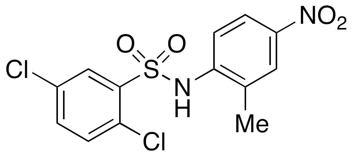 N-(2-Methyl-4-nitrophenyl)-2,5-dichlorobenzenesulfonamide - image 1