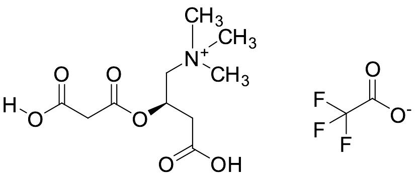 Malonyl-L-carnitine Trifluoroacetate - image 1