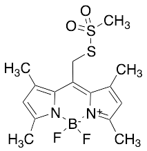 Bodipy Methanethiosulfonate - image 1