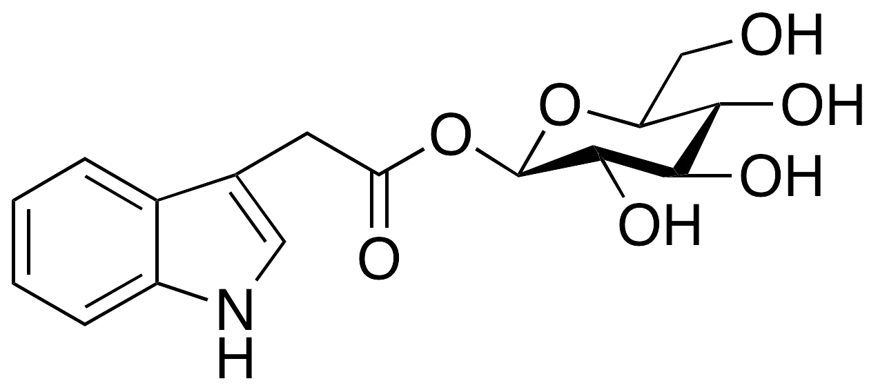 Indole-3-acetyl beta-D-Glucopyranose - image 1