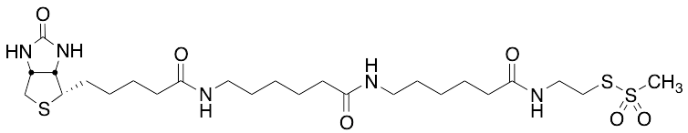 N-Biotinylcaproylaminocaproylaminoethyl Methanethiosulfonate - image 1