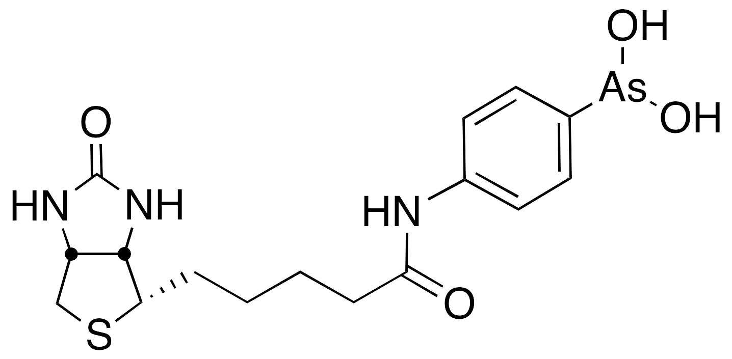 N-Biotinyl p-Aminophenyl Arsenic Acid - image 1